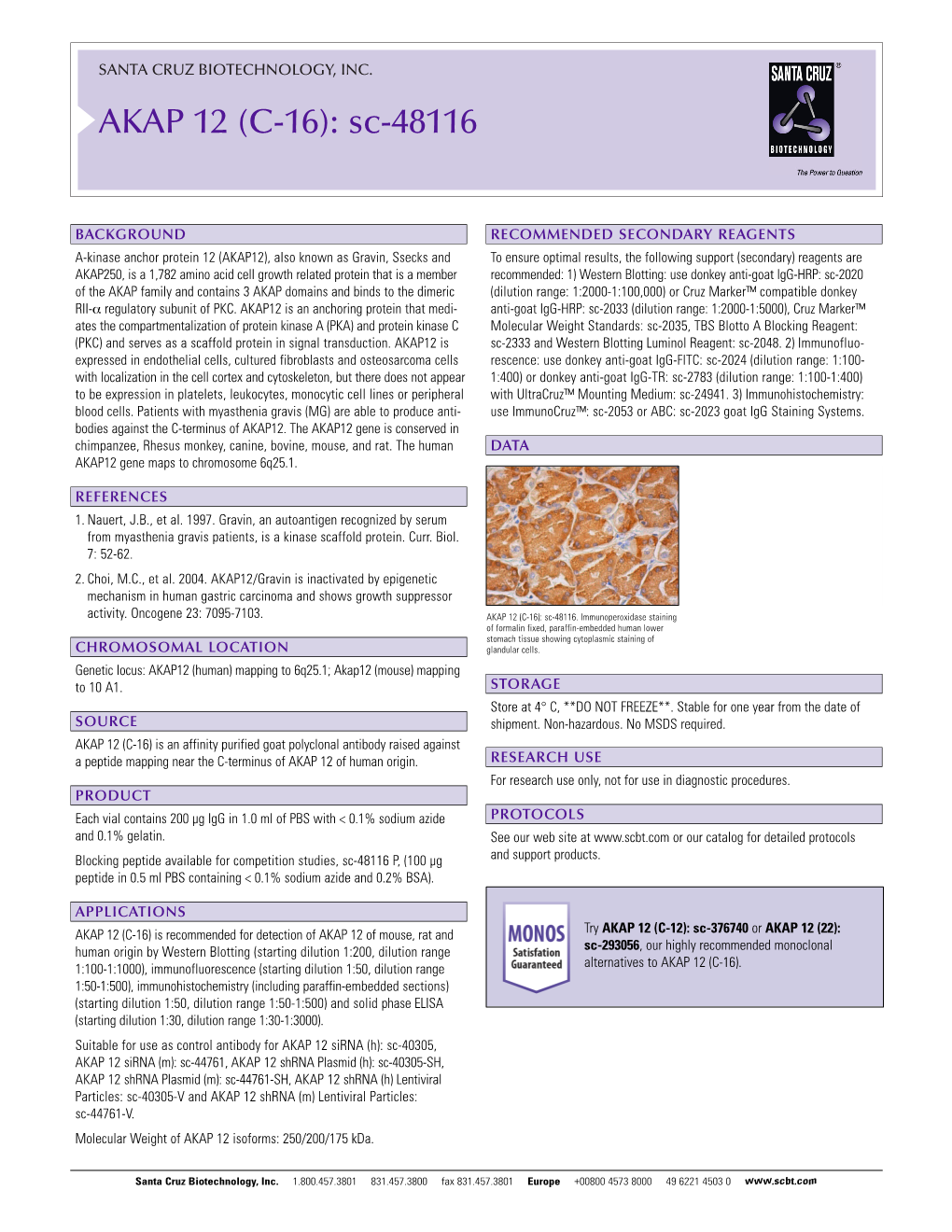 Datasheet Blank Template