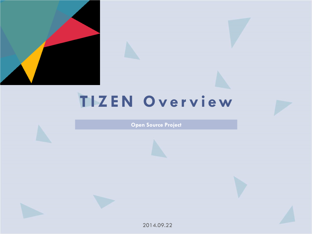 TIZEN Overview