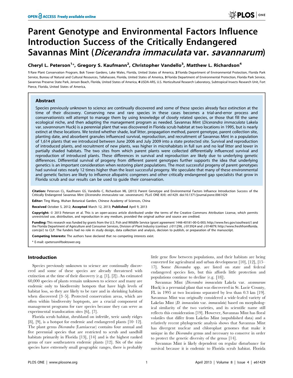 Dicerandra Immaculata Var. Savannarum)