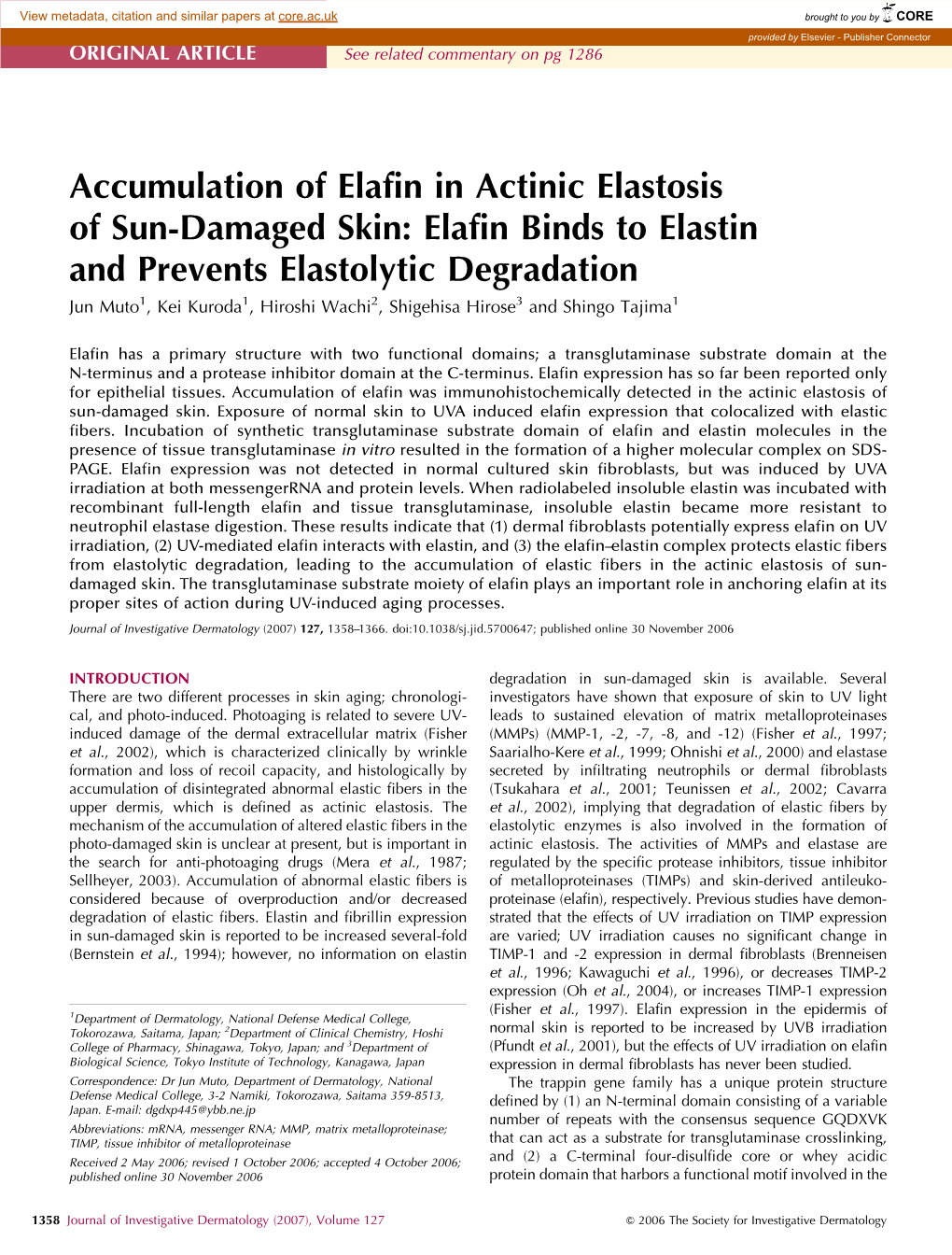 Accumulation of Elafin in Actinic Elastosis of Sun-Damaged