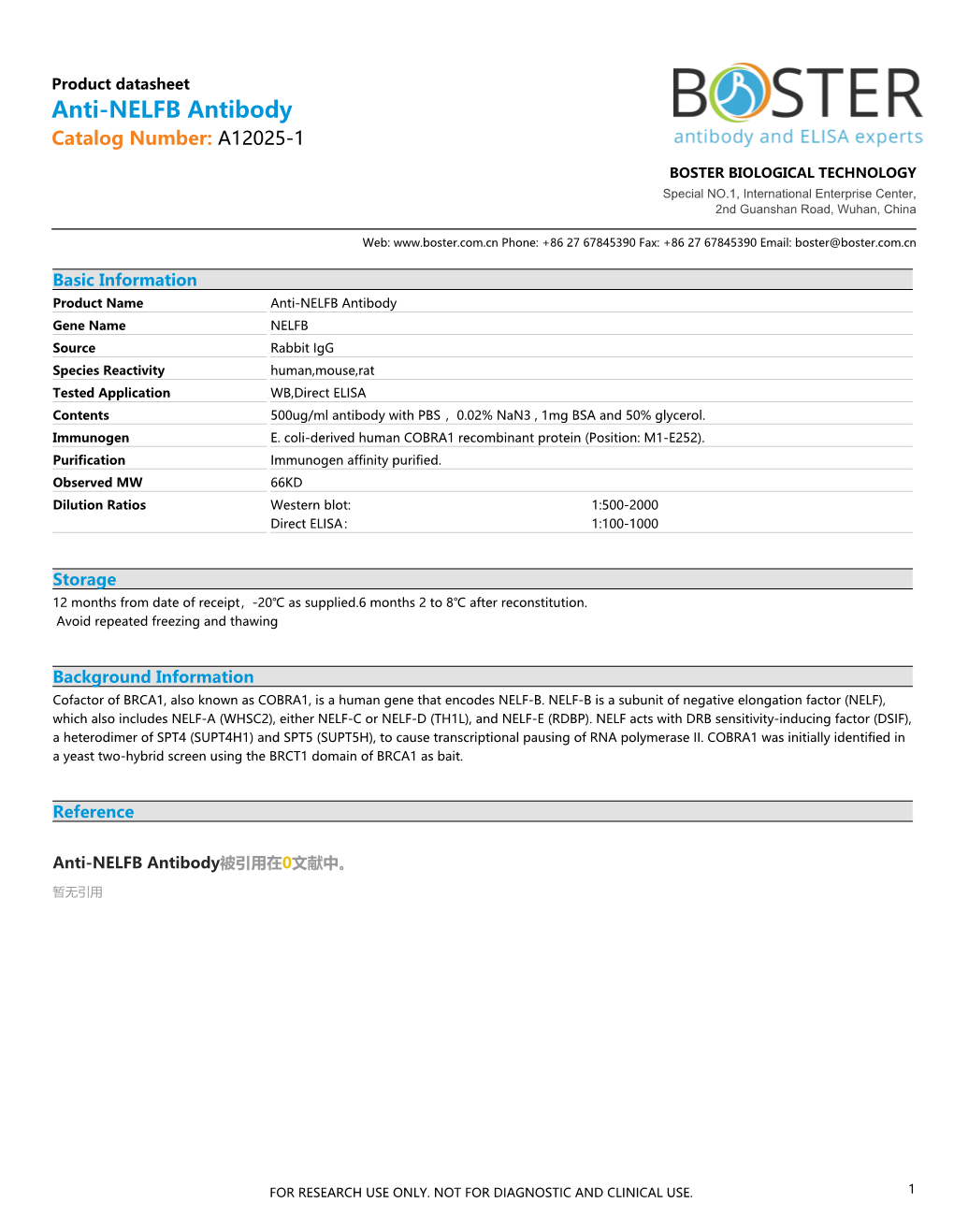 Datasheet A12025-1 Anti-NELFB Antibody