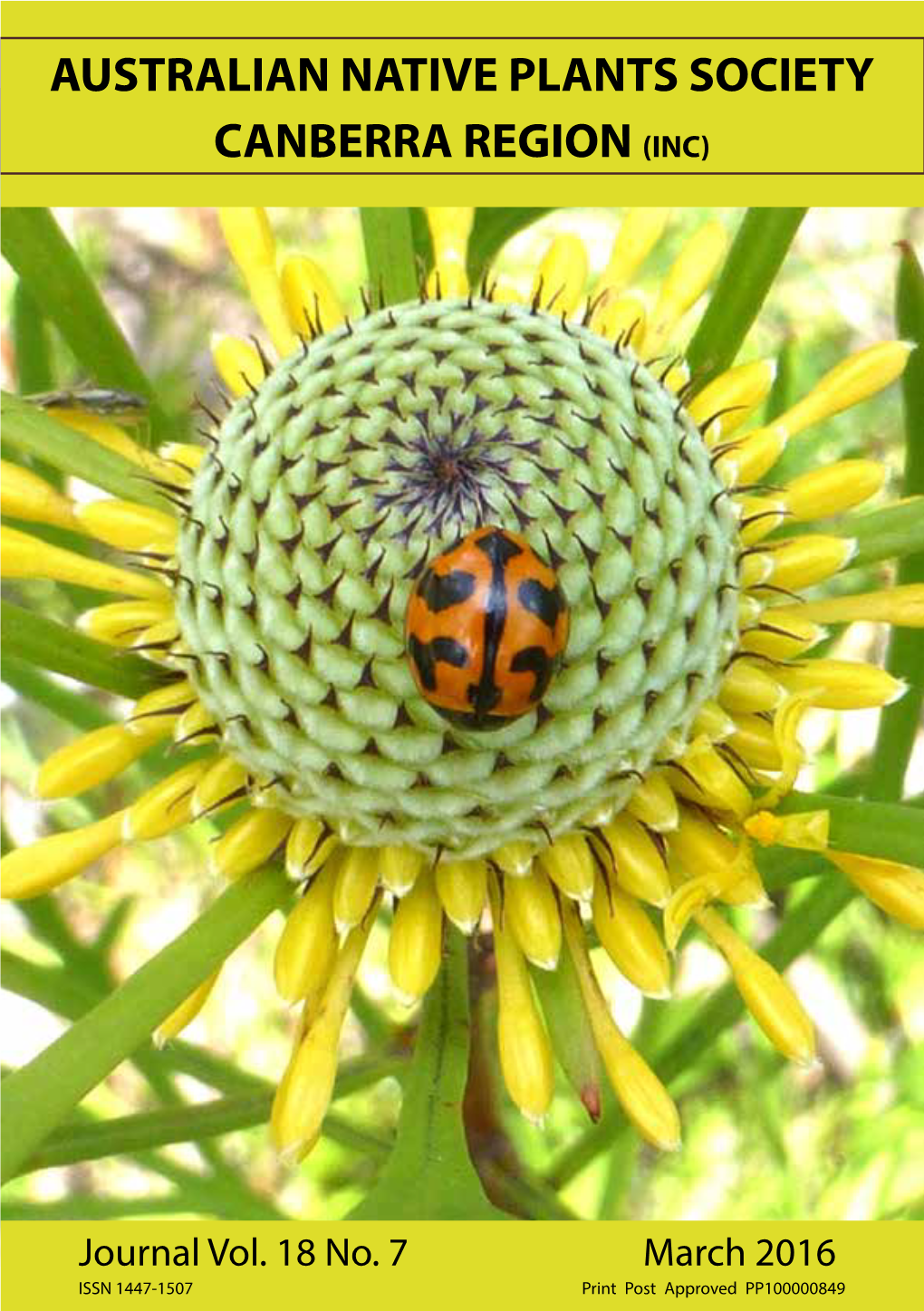 Australian Native Plants Society Canberra Region (Inc)