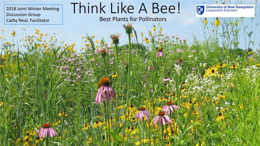 Think Like a Bee! Cathy Neal, Facilitator Best Plants for Pollinators a Bee’S Perspective What Do Bees Actually SEE?