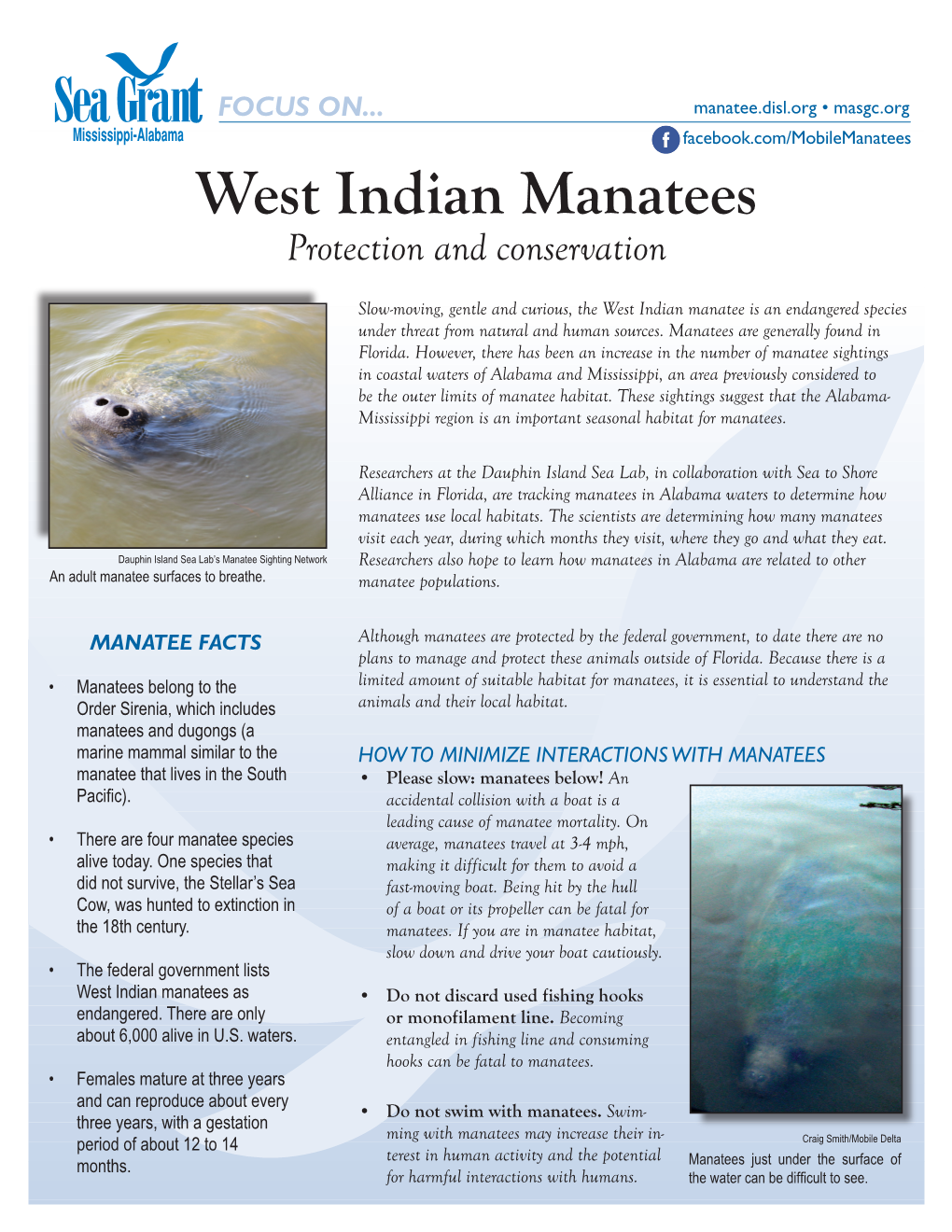 West Indian Manatee Factsheet