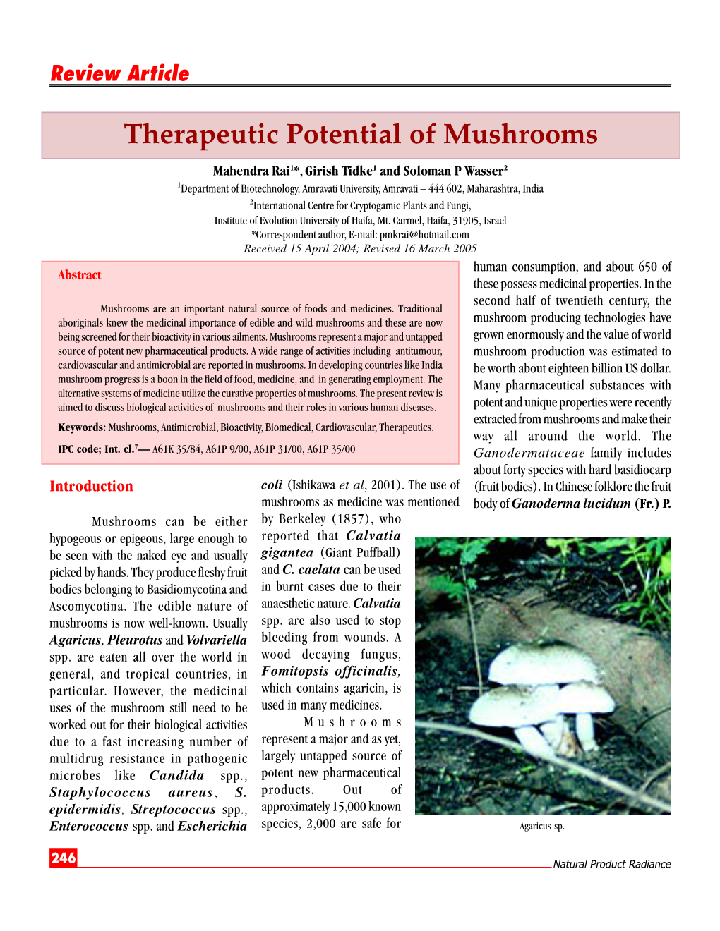 Therapeutic Potential of Mushrooms