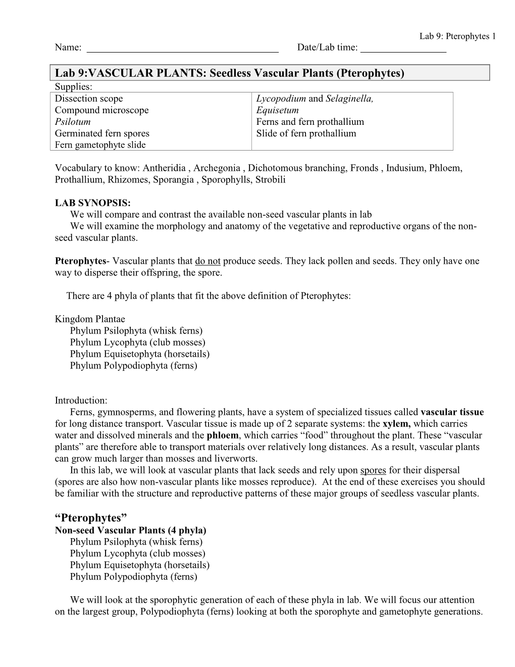 Lab 9:VASCULAR PLANTS: Seedless Vascular Plants (Pterophytes)