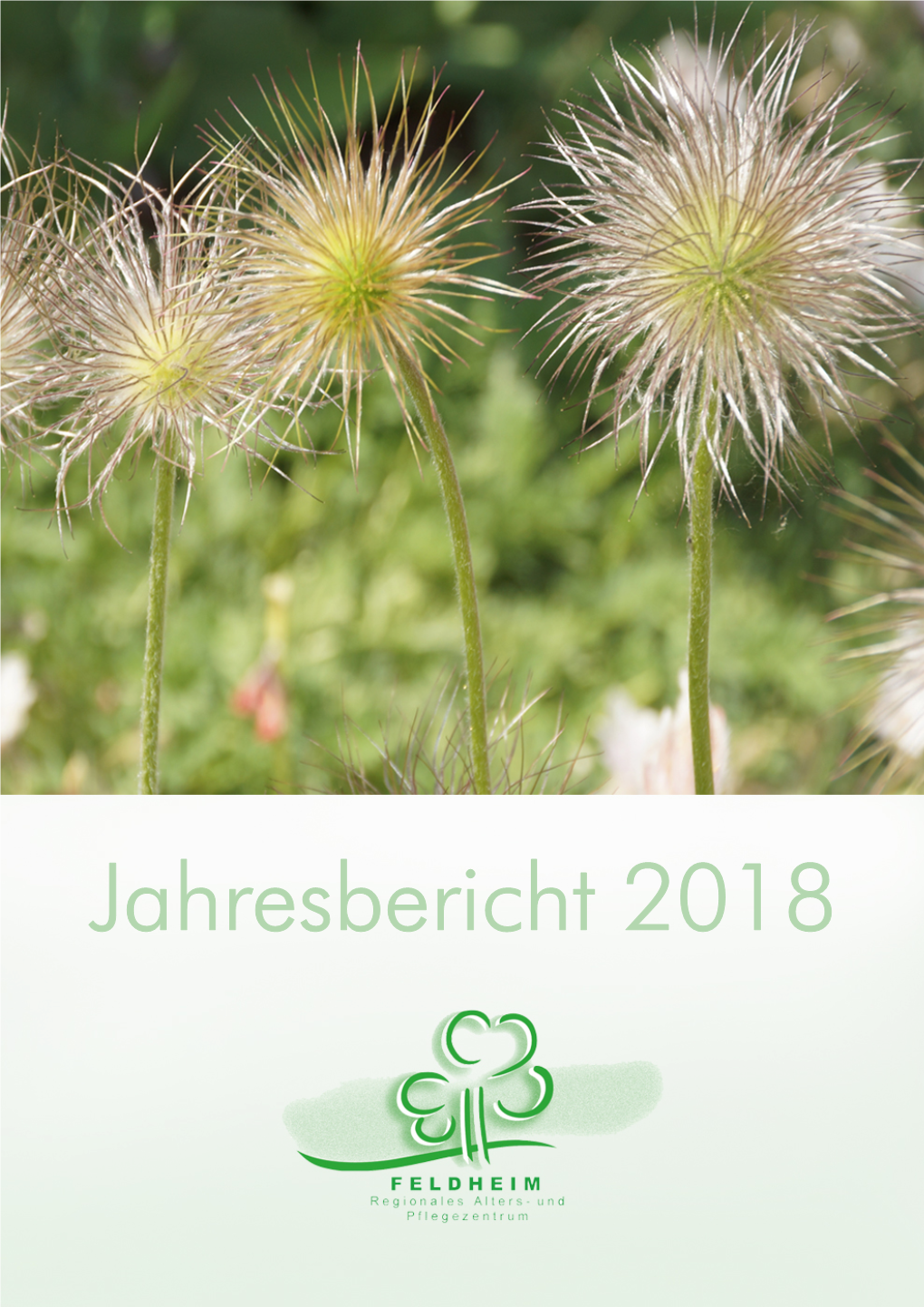 Jahresbericht 2018