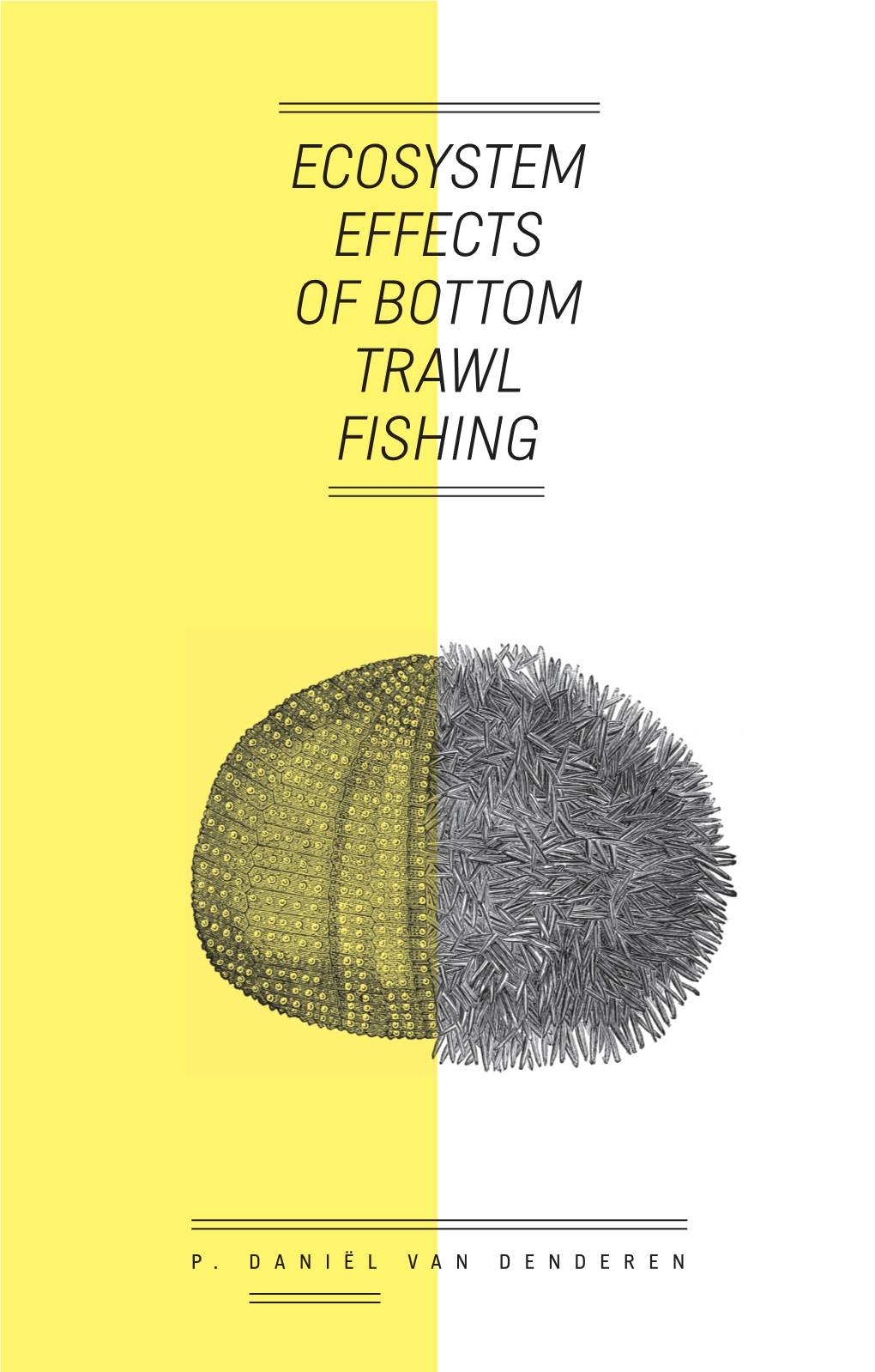 Ecosystem Effects of Bottom Trawl Fishing