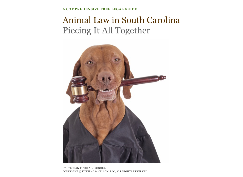 Animal Law in South Carolina Piecing It All Together