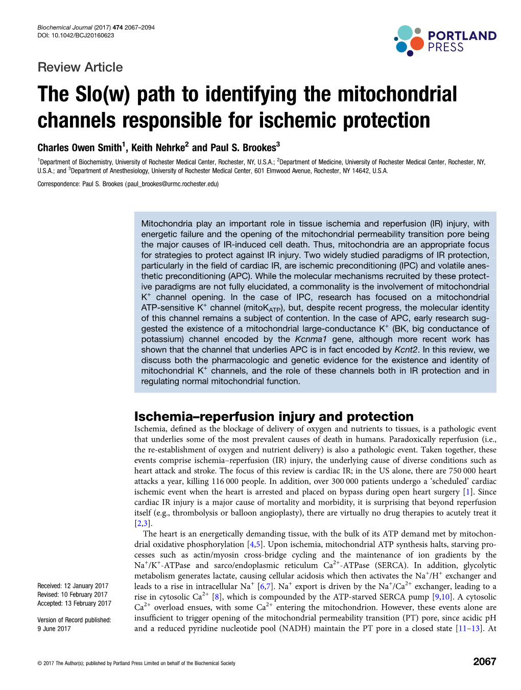 The Slo(W) Path to Identifying the Mitochondrial Channels Responsible for Ischemic Protection