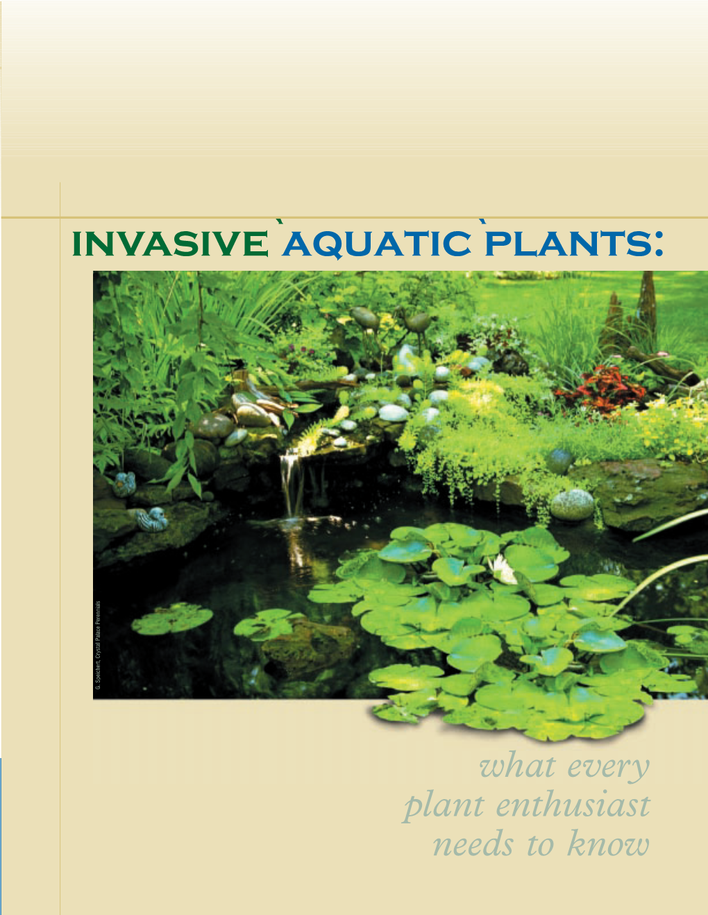 Invasive Aquatic Plants