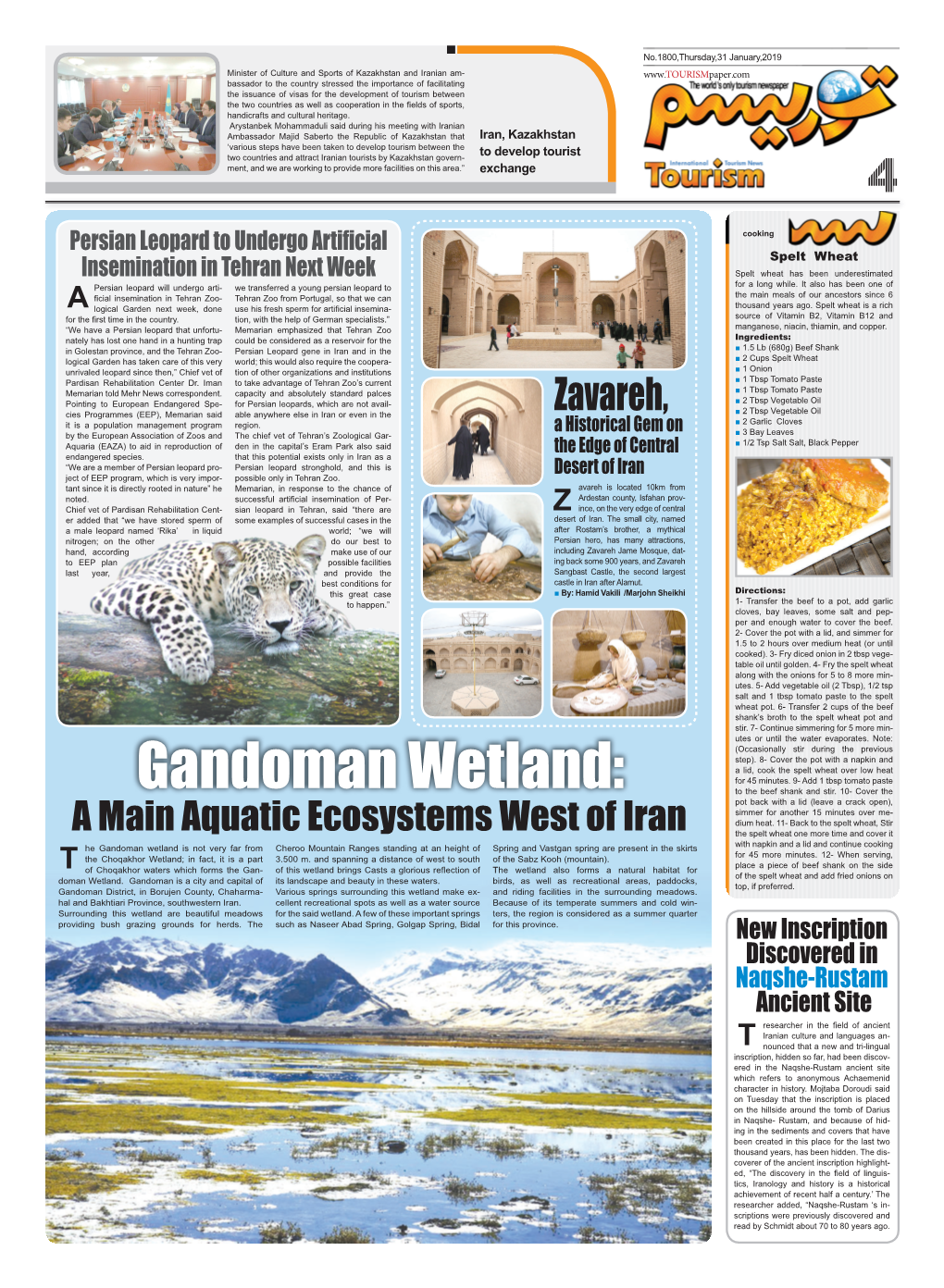 Gandoman Wetland: for 45 Minutes