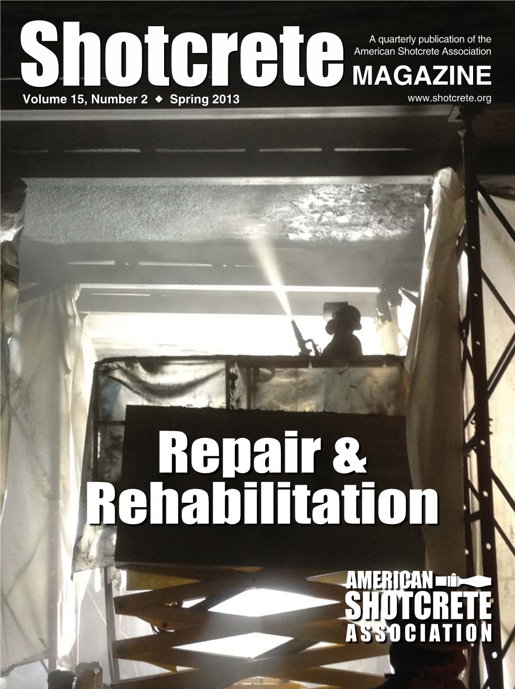 Repair & Rehabilitation