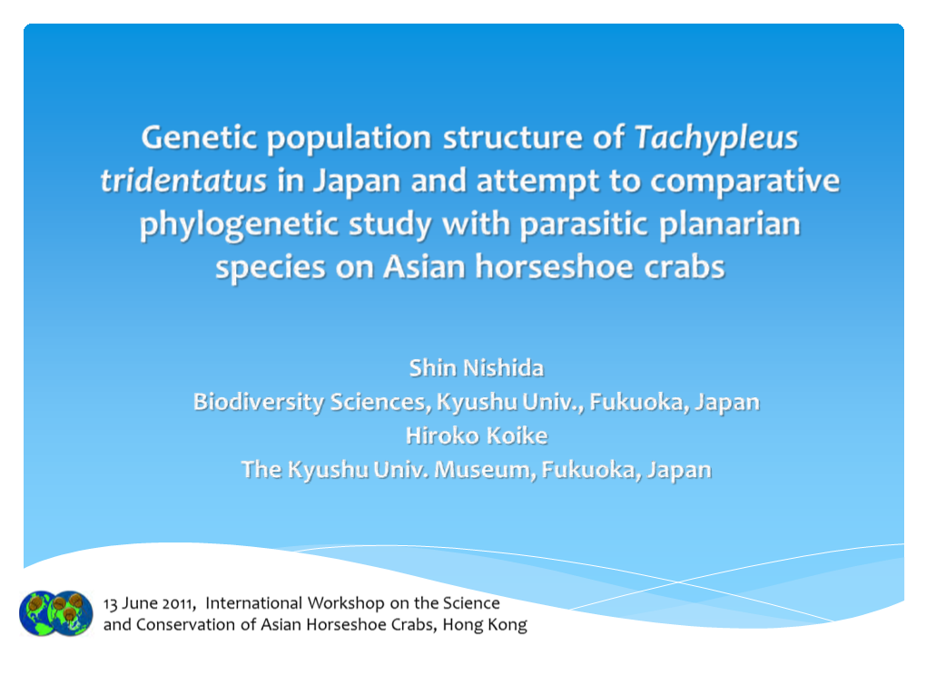Genetic Population Structure of Tachypleus Tridentatus in Japan And