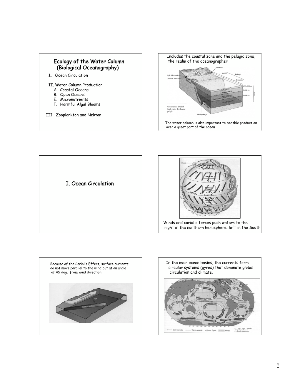 Water Column Production A