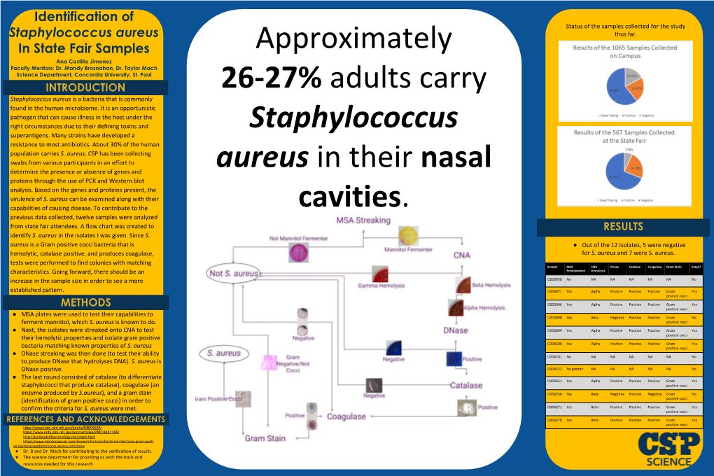 Staphylococcus Aureus Thus Far