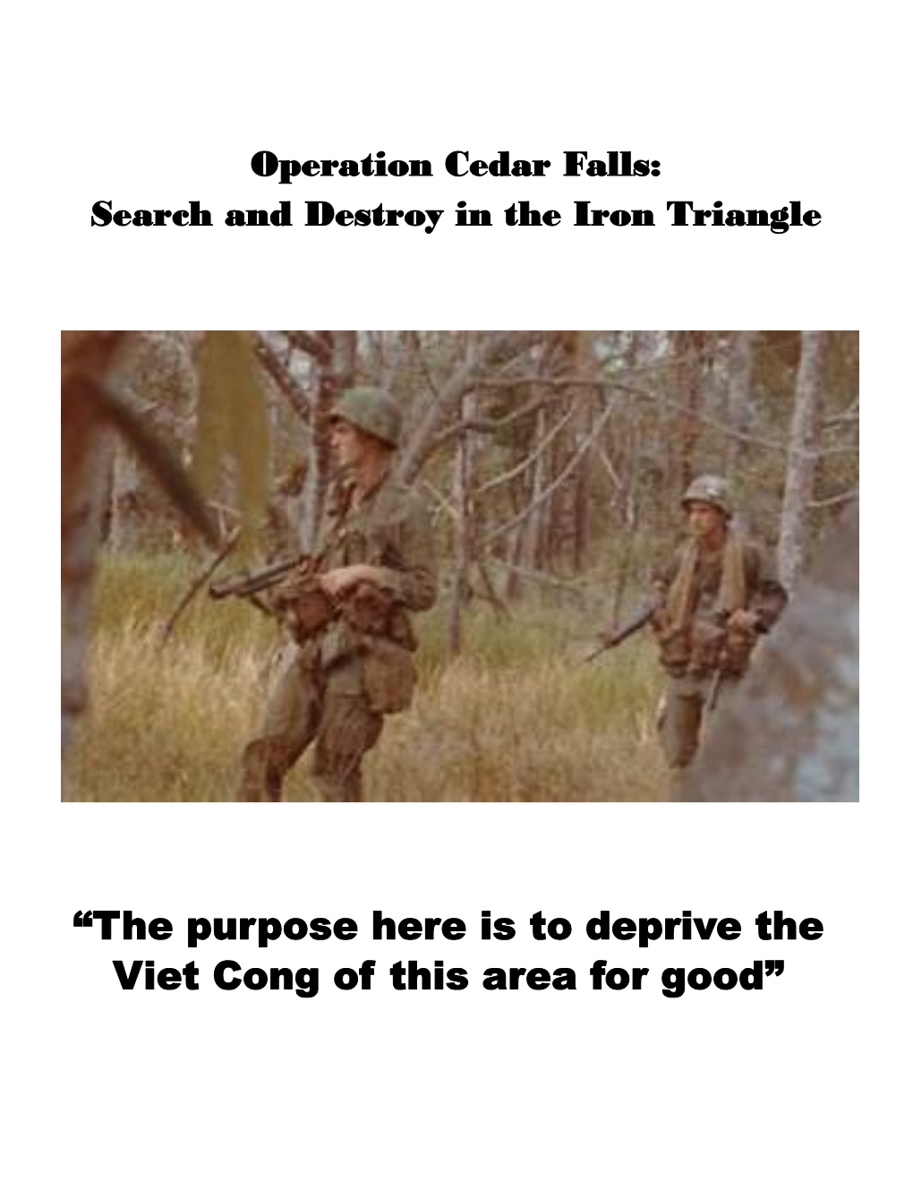 “The Purpose Here Is to Deprive the Viet Cong of This Area for Good”