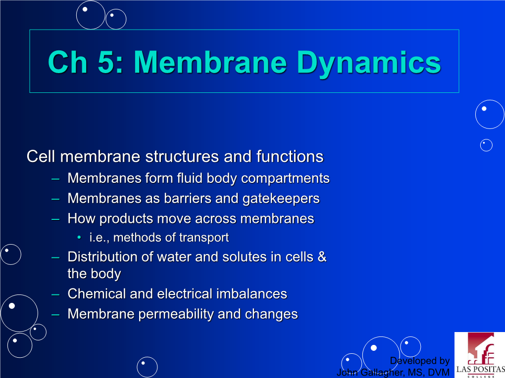 Ch 5: Membrane Dynamics