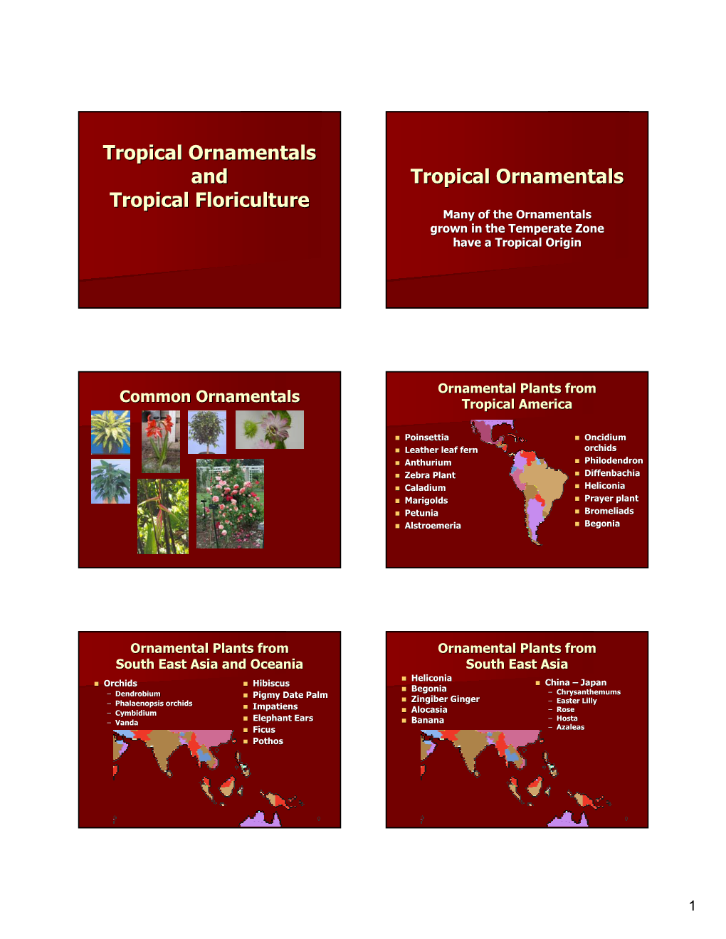 Tropical Floriculture Many of the Ornamentals Grown in the Temperate Zone Have a Tropical Origin