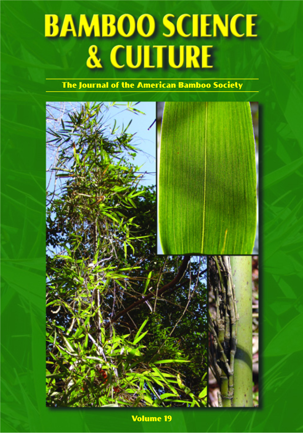The Journal of the American Bamboo Society Volume 19