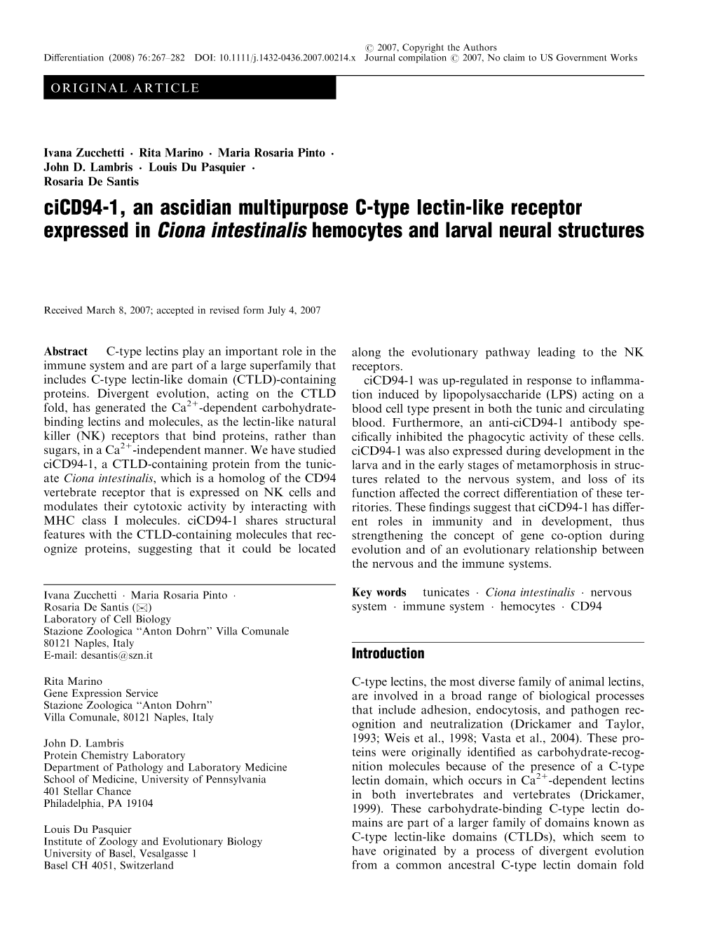 Cicd94-1, an Ascidian Multipurpose C-Type Lectin-Like Receptor Expressed in Ciona Intestinalis Hemocytes and Larval Neural Structures