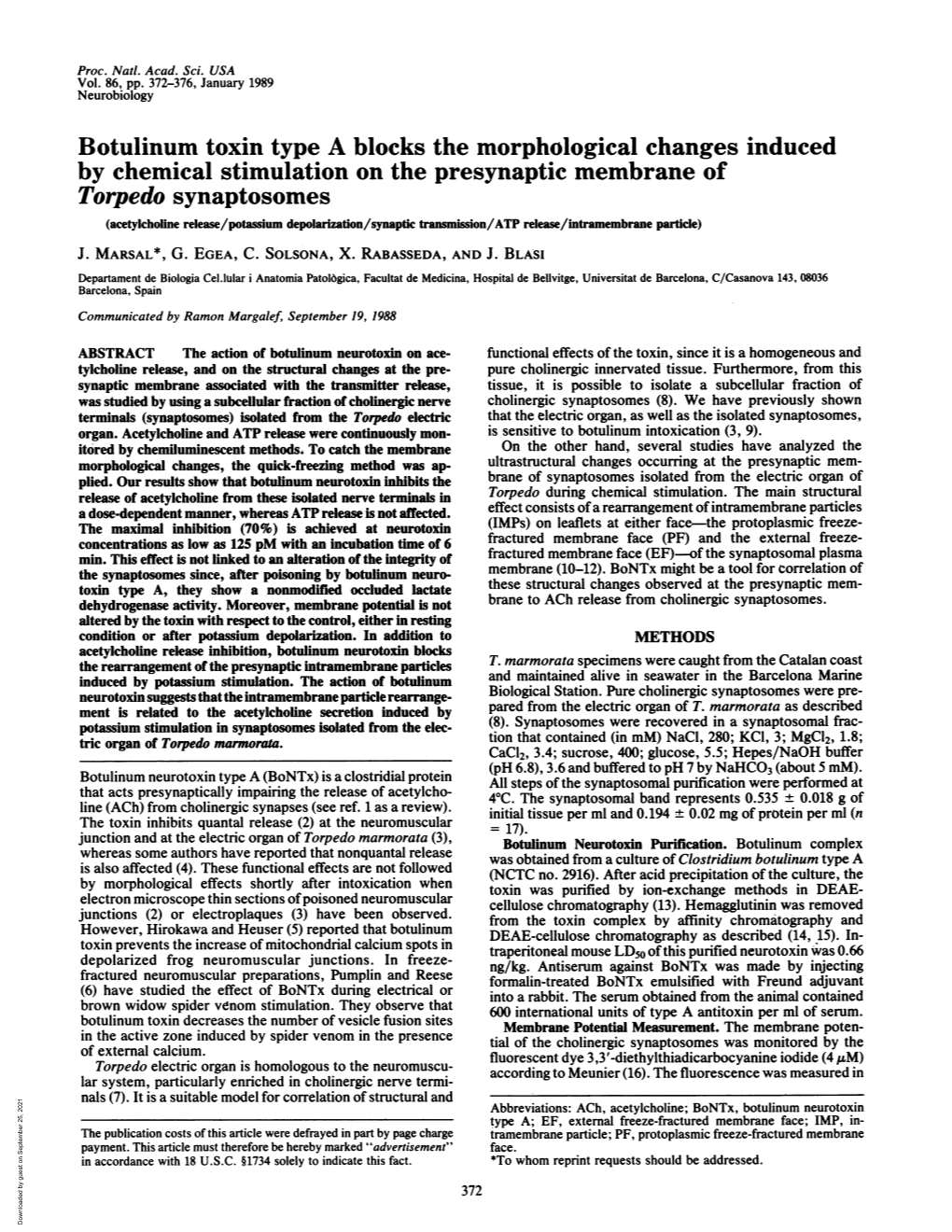 Botulinum Toxin Type a Blocks the Morphological Changes Induced