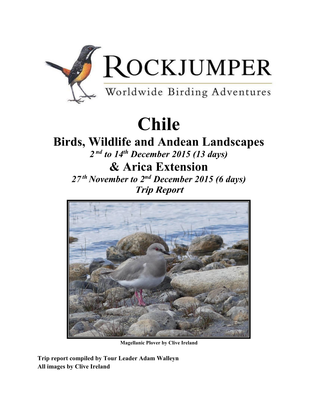 Birds, Wildlife and Andean Landscapes & Arica Extension