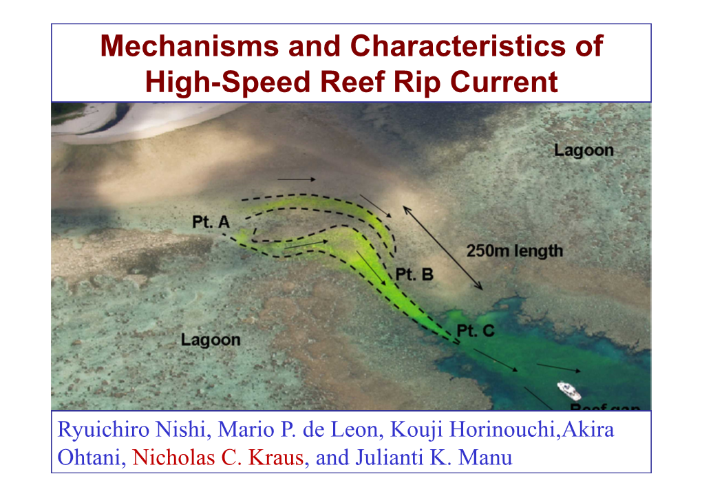 Mechanisms and Characteristics of High-Speed Reef Rip Current