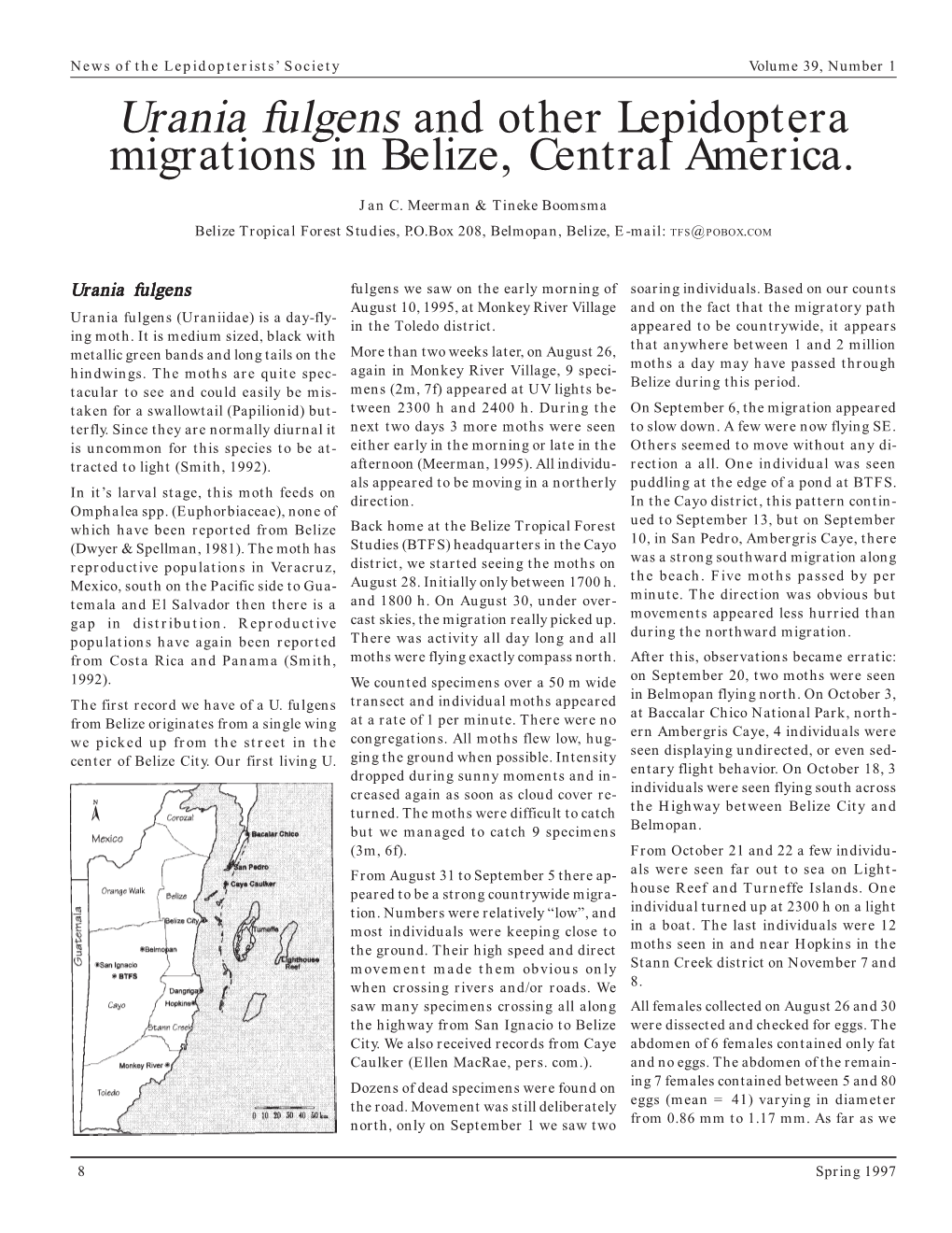 Urania Fulgens and Other Lepidoptera Migrations in Belize, Central America