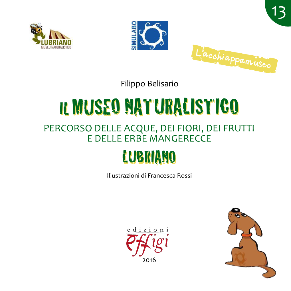 Cos'è Il Sistema Museale Del Lago Di Bolsena?