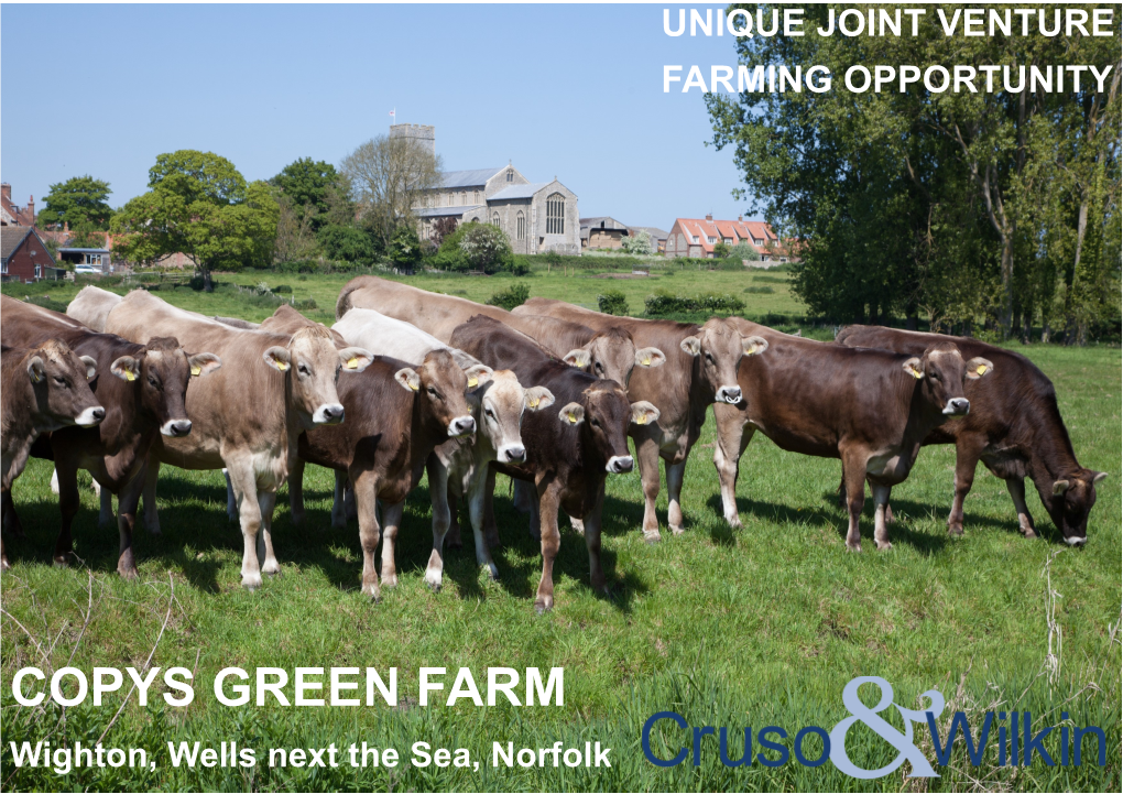 COPYS GREEN FARM Wighton, Wells Next the Sea, Norfolk
