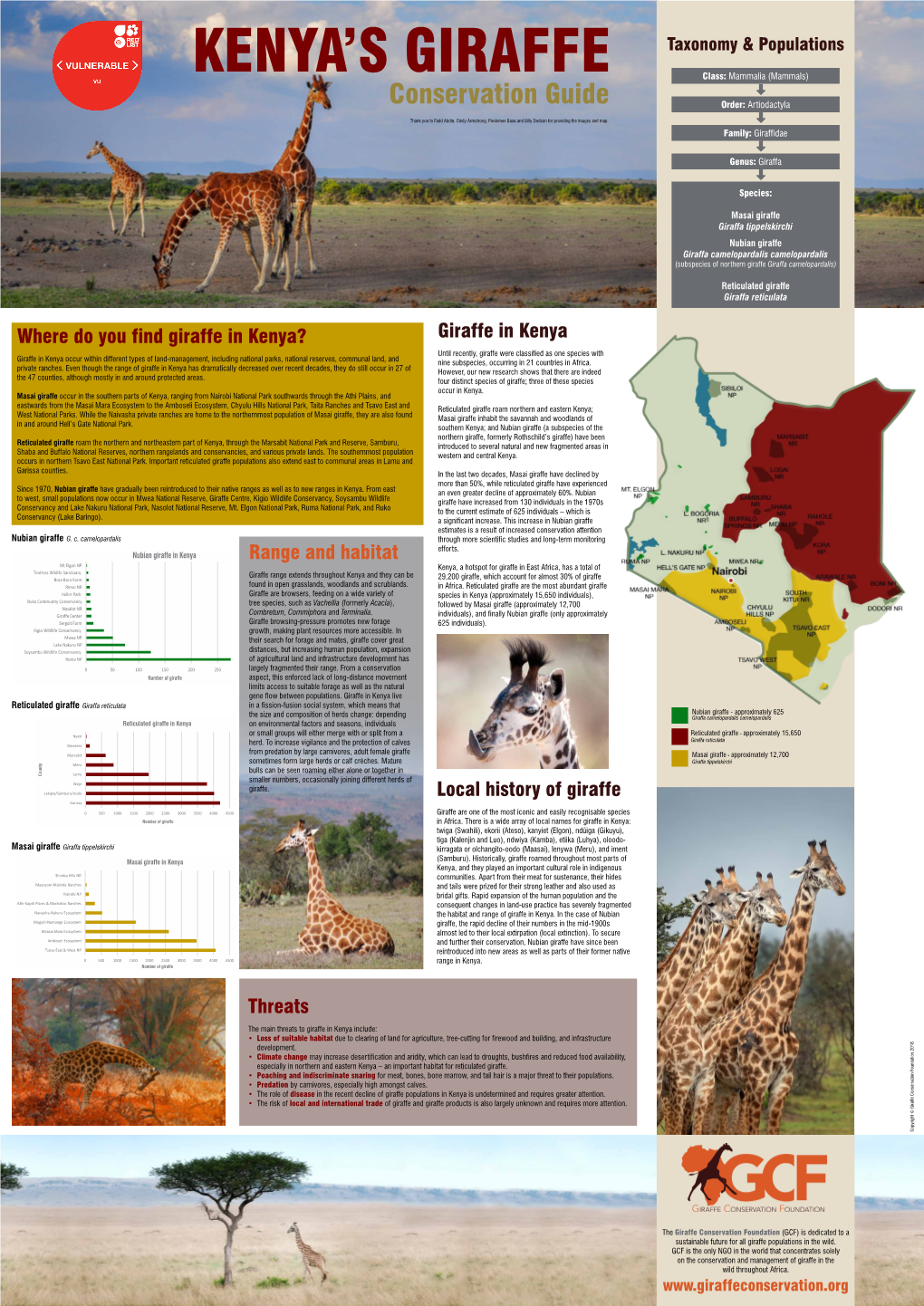 Giraffe in Kenya Range and Habitat Where Do You Find Giraffe in Kenya?