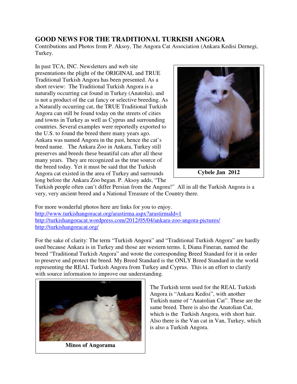 GOOD NEWS for the TRADITIONAL TURKISH ANGORA Contributions and Photos from P