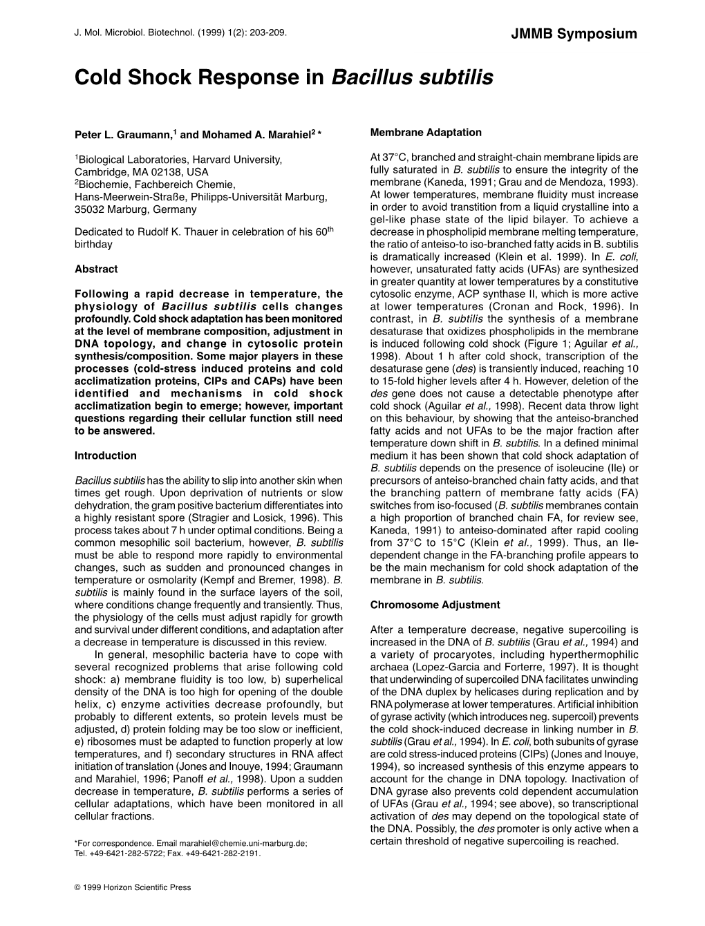 Cold Shock Response in Bacillus Subtilis