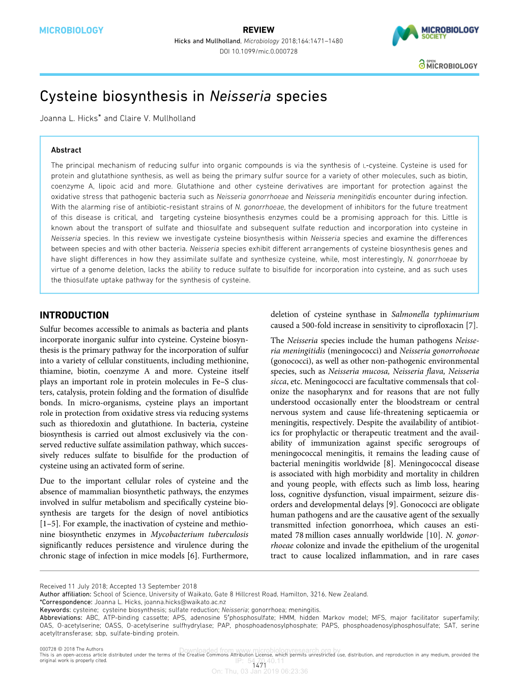 Cysteine Biosynthesis in Neisseria Species