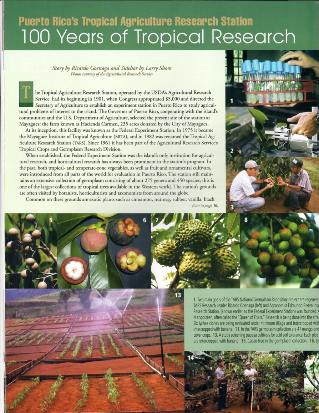 Story by Ricardo Goenaga and Sidebar by Larry Shore Photos Courtesy Ofthe Agricttltural Rrmtrch Service