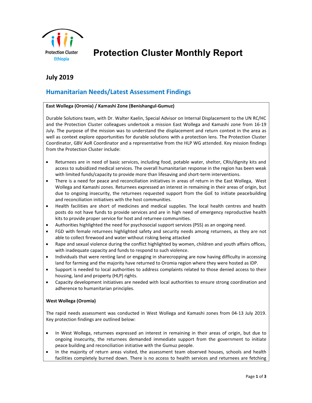 Protection Cluster Monthly Report July 2019