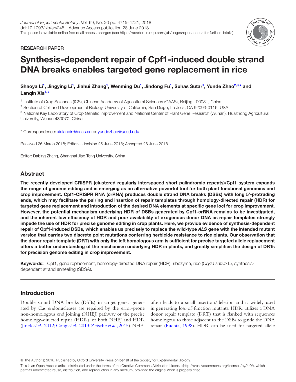 Synthesis-Dependent Repair of Cpf1-Induced Double Strand DNA Breaks Enables Targeted Gene Replacement in Rice