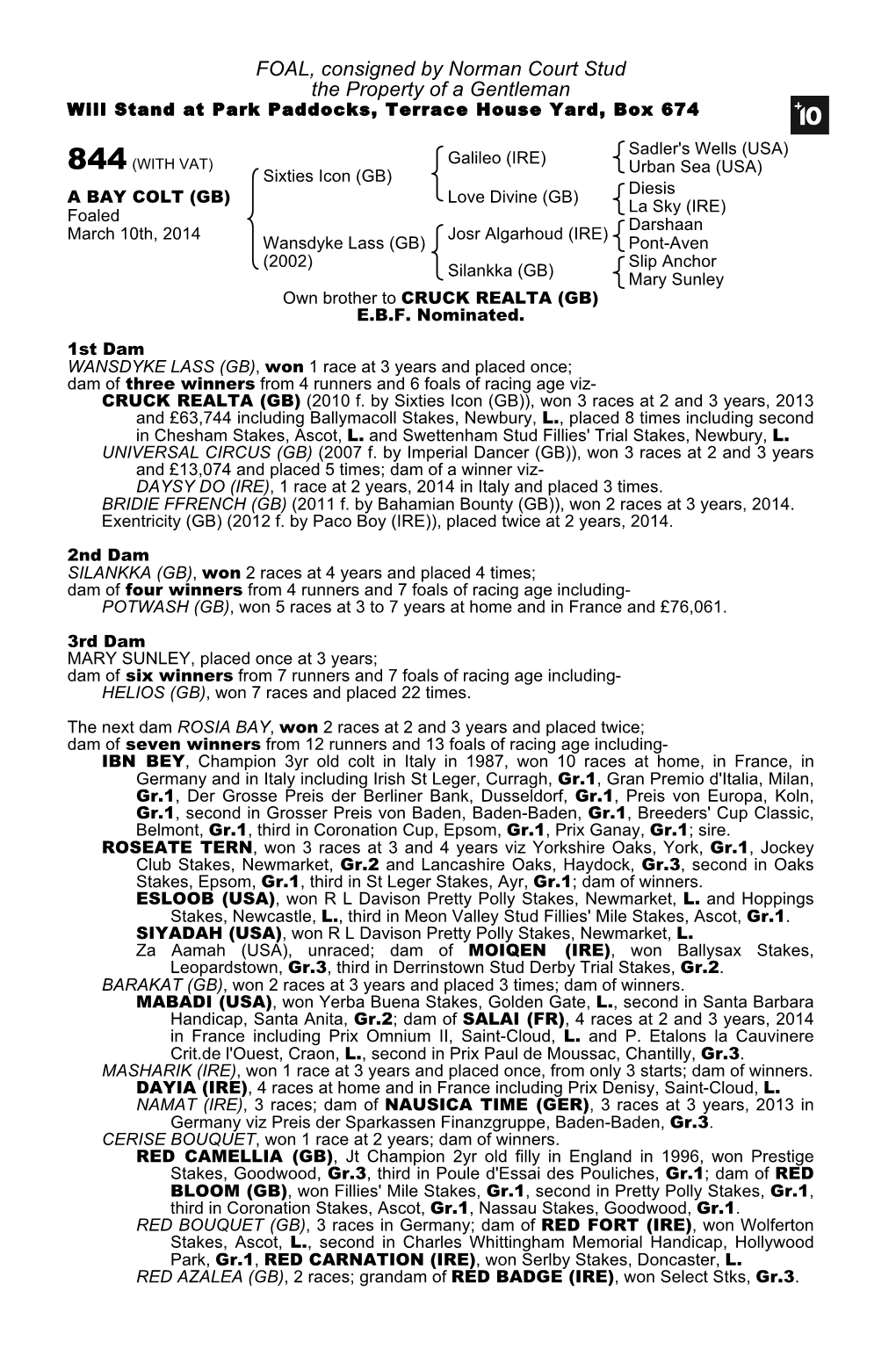 FOAL, Consigned by Norman Court Stud the Property of a Gentleman Will Stand at Park Paddocks, Terrace House Yard, Box 674