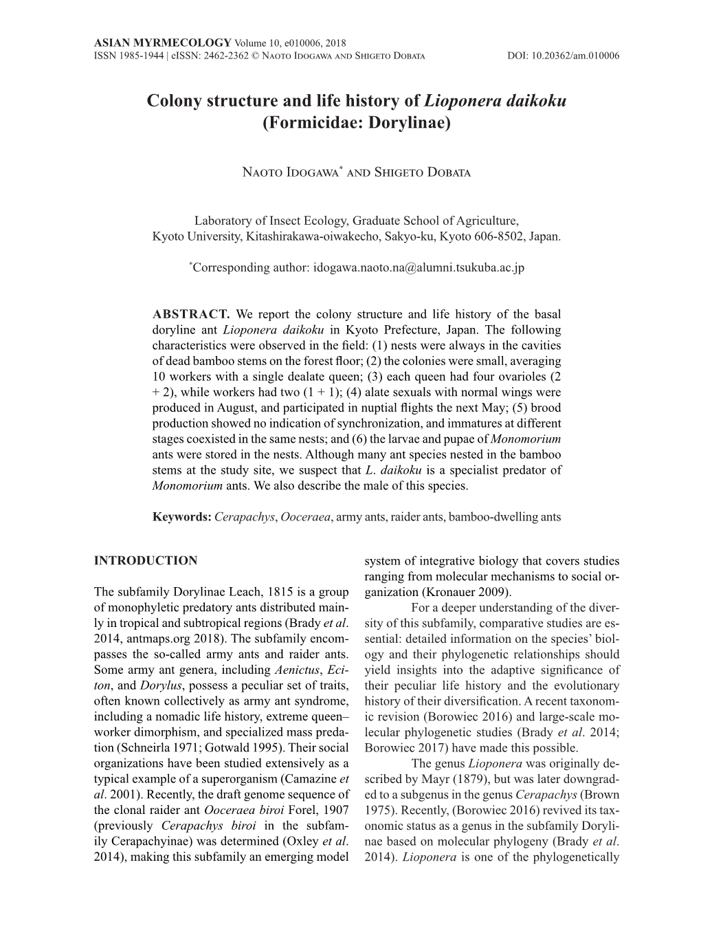 Colony Structure and Life History of Lioponera Daikoku (Formicidae: Dorylinae)