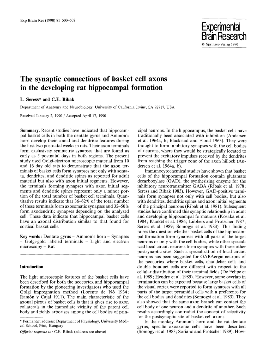 The Synaptic Connections of Basket Cell Axons in the Developing Rat Hippocampal Formation