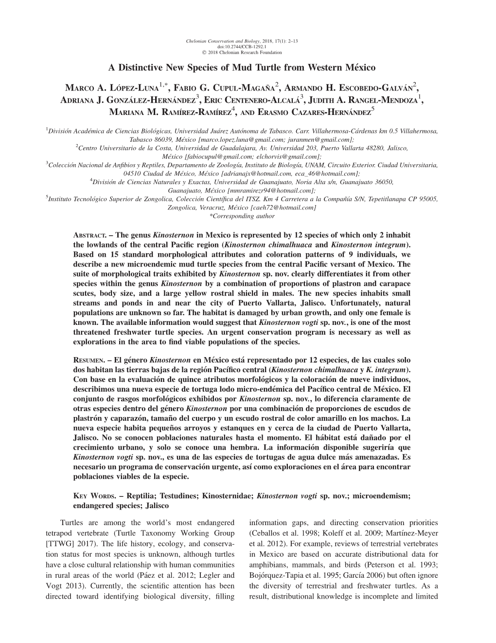 A Distinctive New Species of Mud Turtle from Western M´Exico