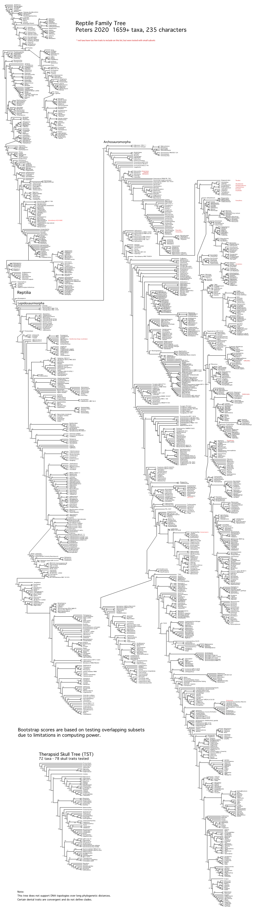 Reptile Family Tree Peters 2020 1659+ Taxa, 235