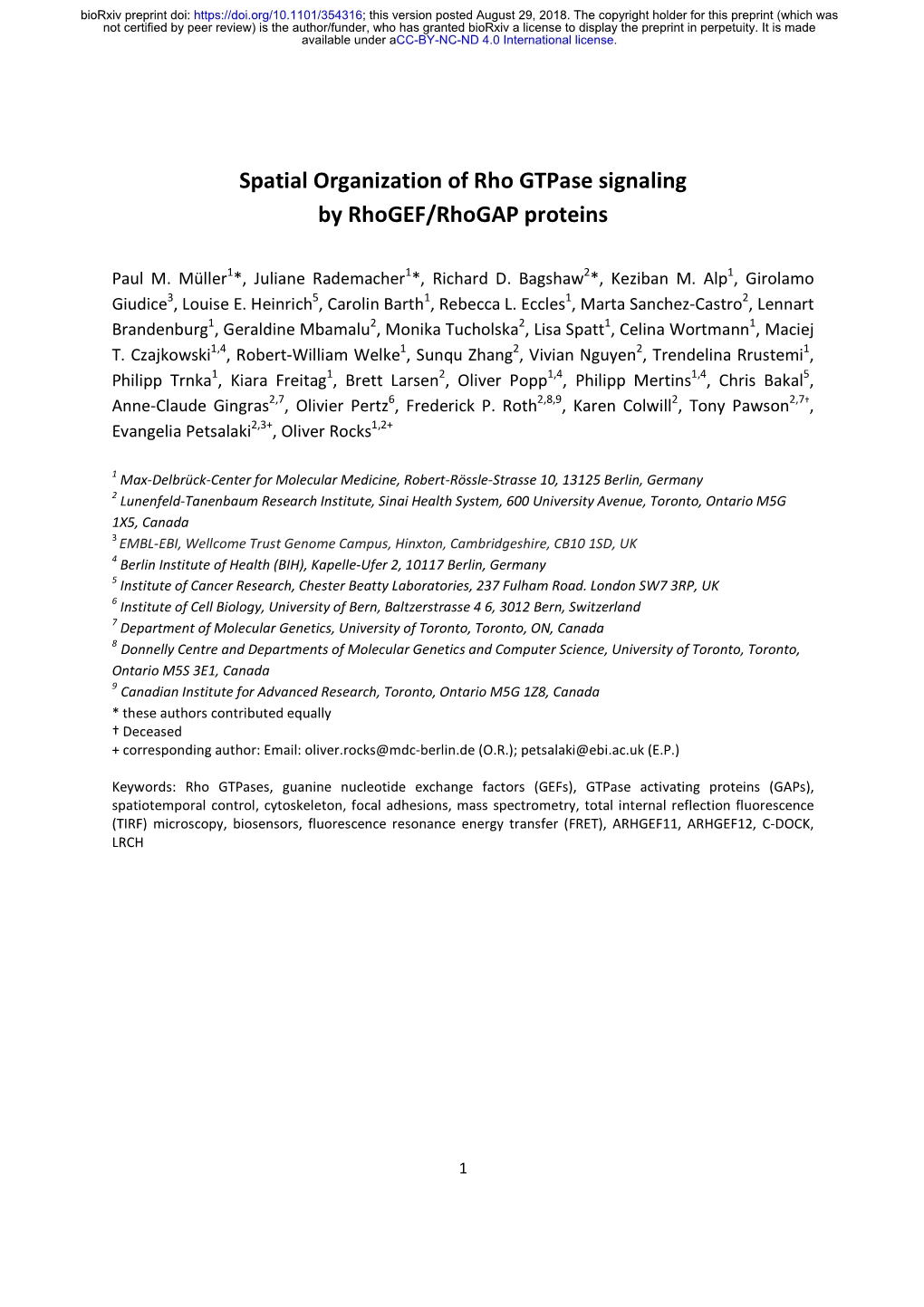 Spatial Organization of Rho Gtpase Signaling by Rhogef/Rhogap Proteins