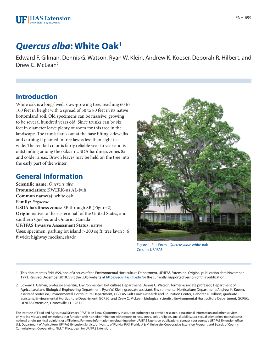 Quercus Alba: White Oak1 Edward F