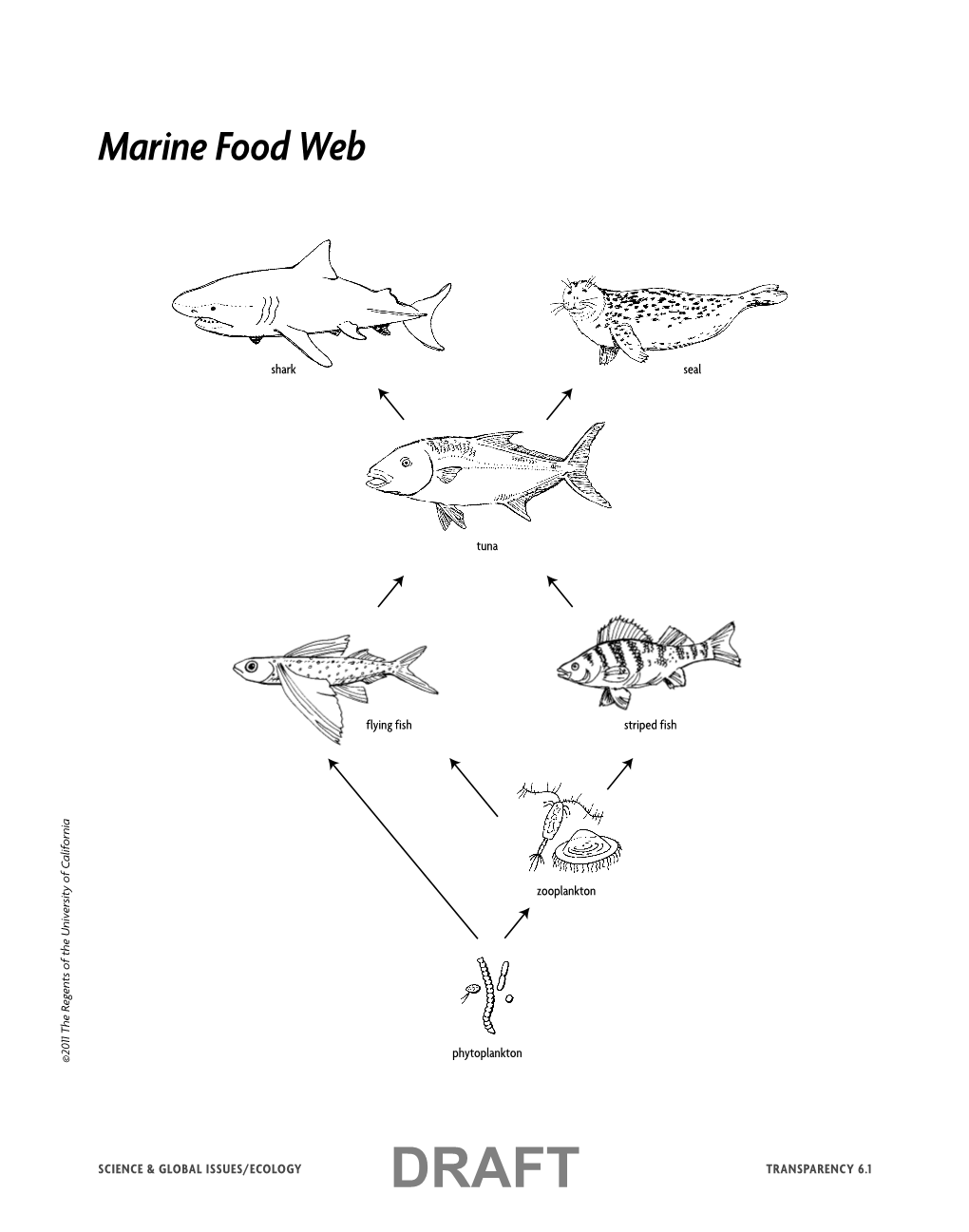 Marine Food Web Agenda Medcond, 9/9 Figure: 3299Ecotg 06 01Trans 3299 SEPUPSGI Ecology TG I Ss U E S / E COLO Shark G Y