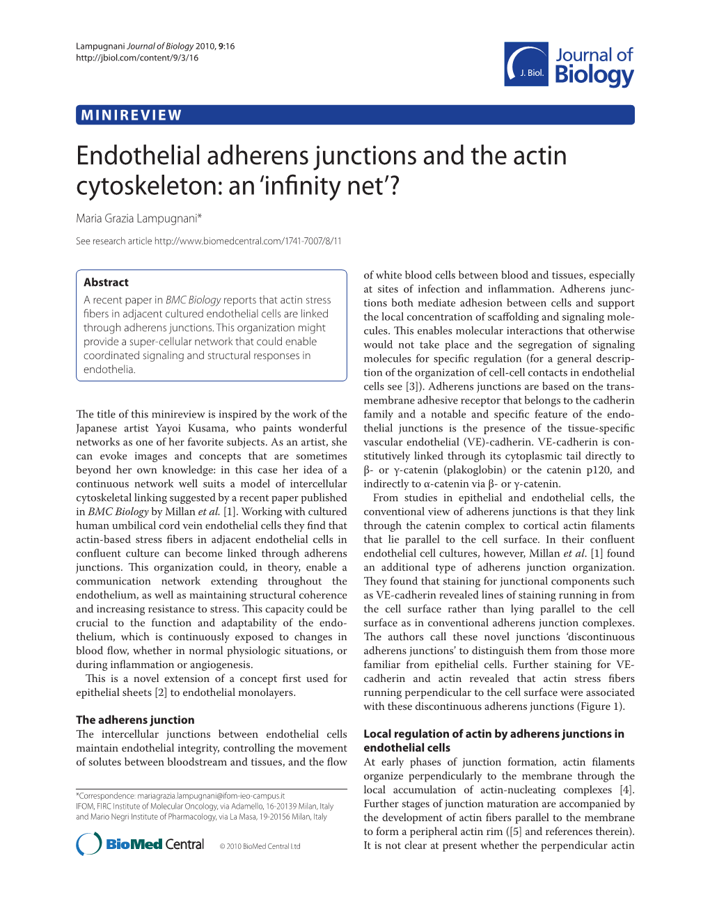 Endothelial Adherens Junctions and the Actin Cytoskeleton: an ‘Infinity Net’? Maria Grazia Lampugnani*