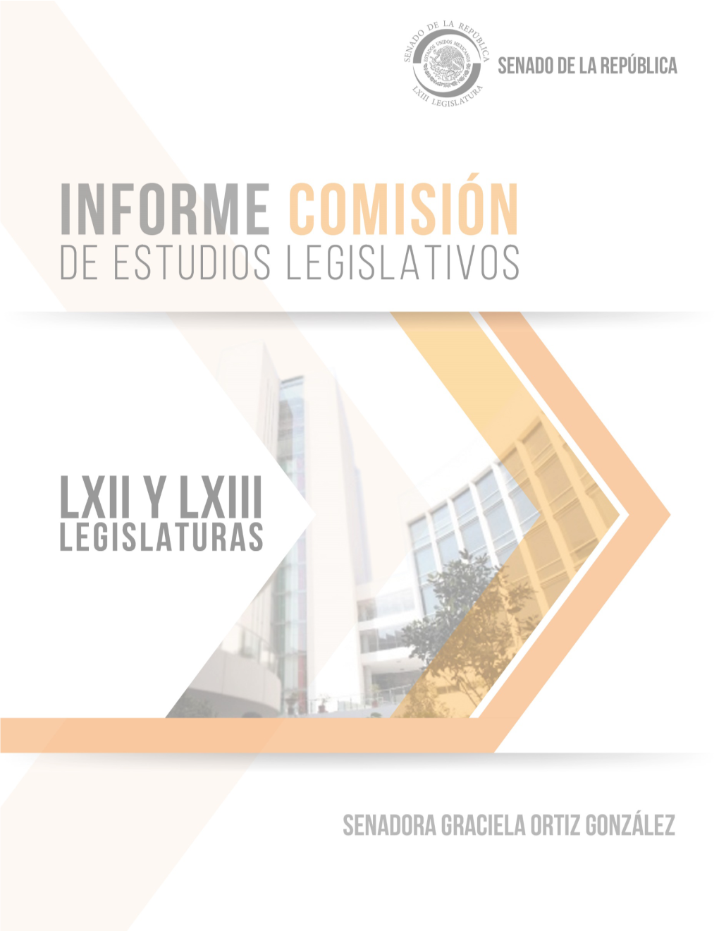 Com EL Informe 5 AÑOS LXII