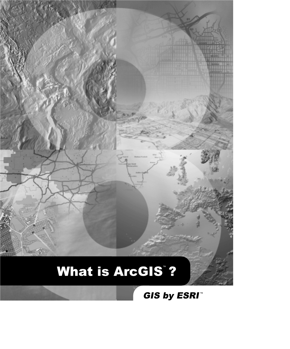 What Is Arcgis Whitepaper