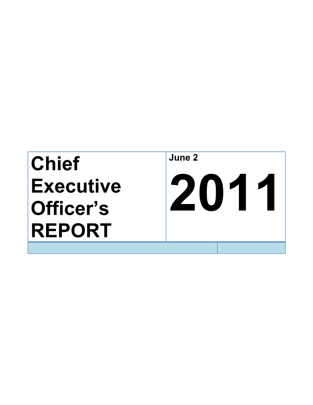 Chief Executive Officer's REPORT